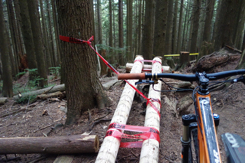 Unsanctioned new woodwork built by @ship-it-fed-ex (Patrick Podolski) on behalf of the NSMBA.   Blocking the trail