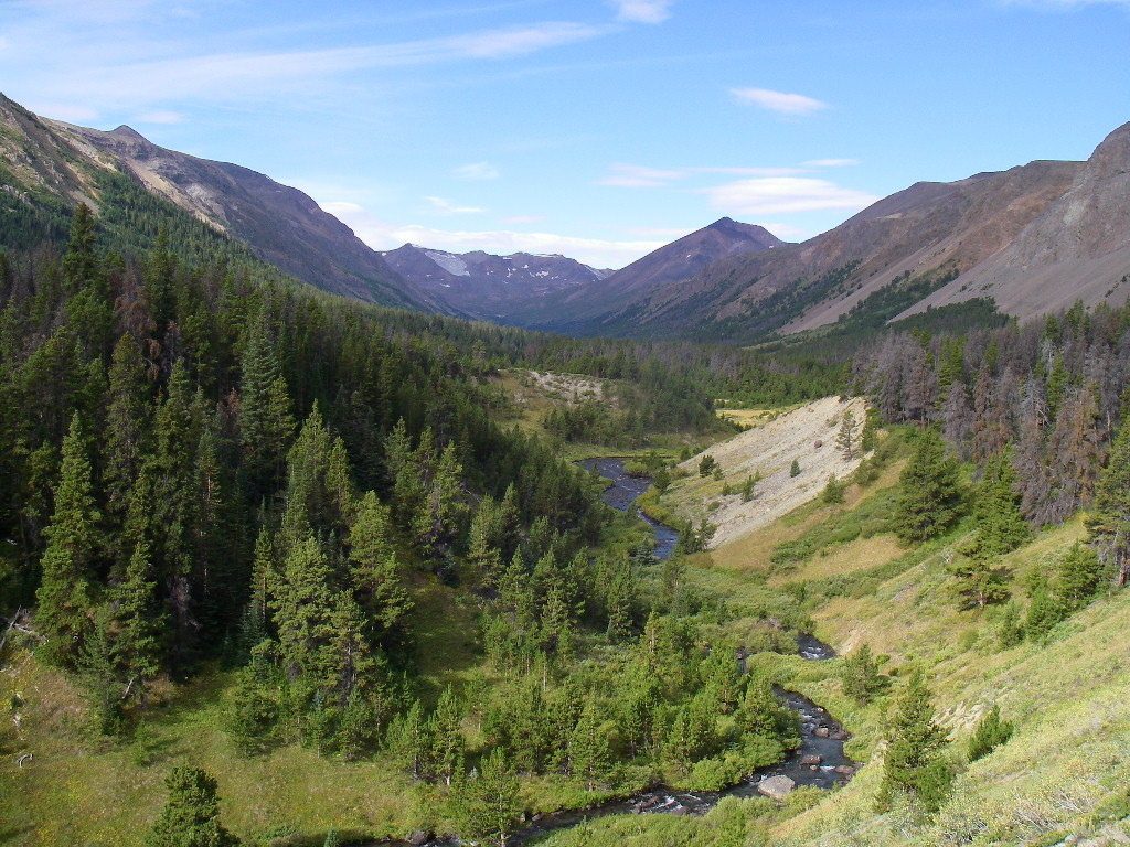 Looking down Tosh Creek Valley towards the Big Creek drainage.