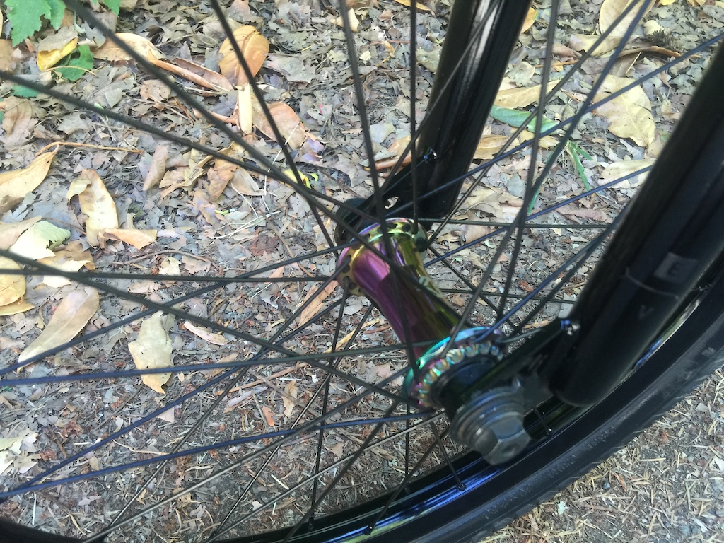 2013 Wethepeople Envy