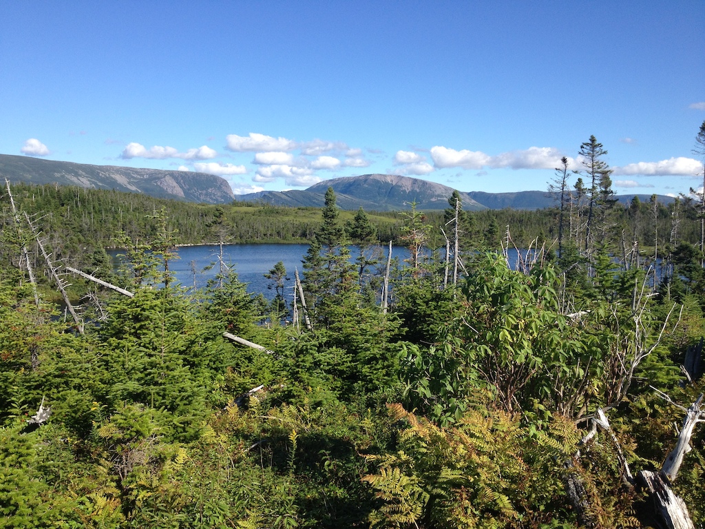 View of Gros Morne Mountain from Little Pond.