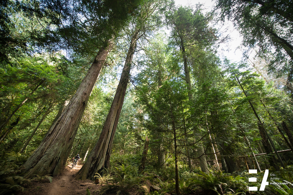Cascadia Dirt Cup Round Four Chuckanut - Race Report