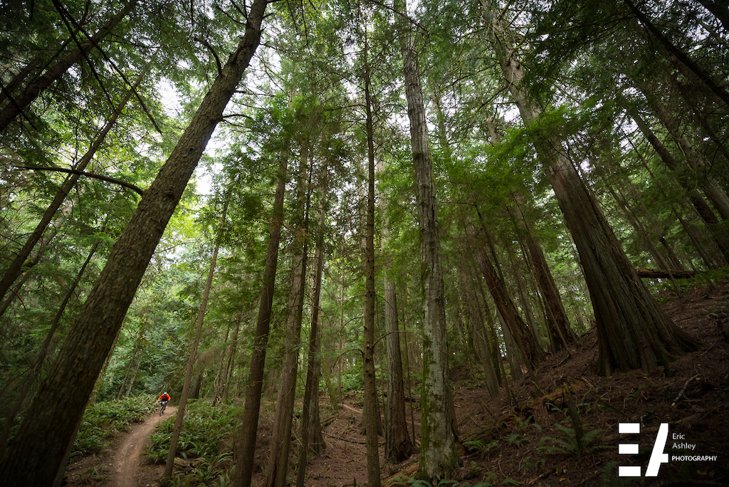 Cascadia Dirt Cup Round Four Chuckanut - Race Report