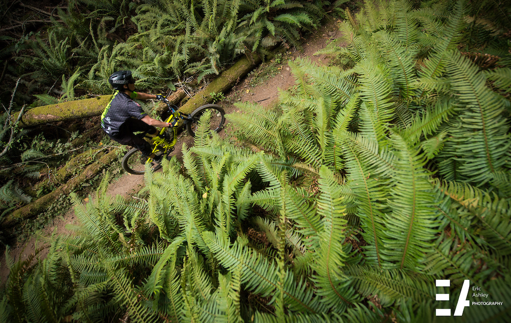 Cascadia Dirt Cup Round Four Chuckanut - Race Report