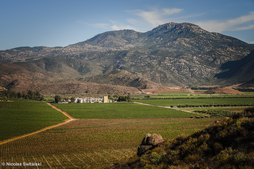 Chillin’ in Baja’s Wine Region: Valle de Guadalupe