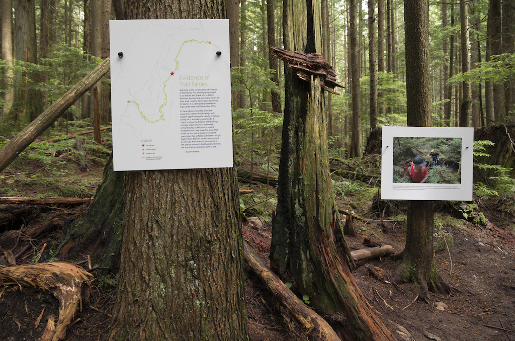 At the various trail intersections we placed maps and descriptions of the project.