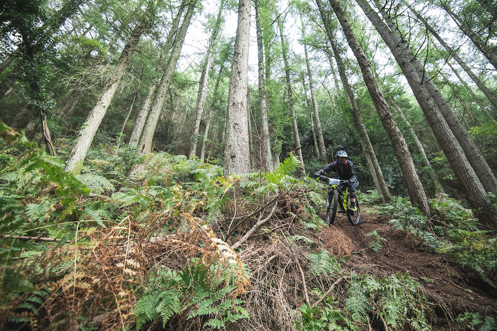 DMR Bikes The EX enduro