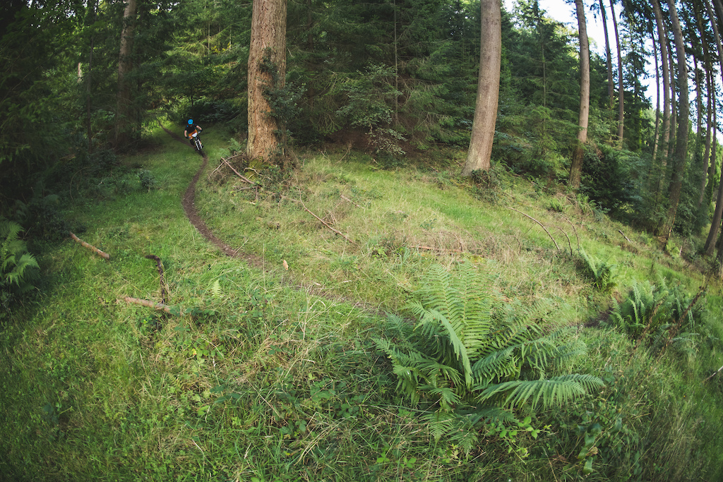 DMR Bikes The EX enduro