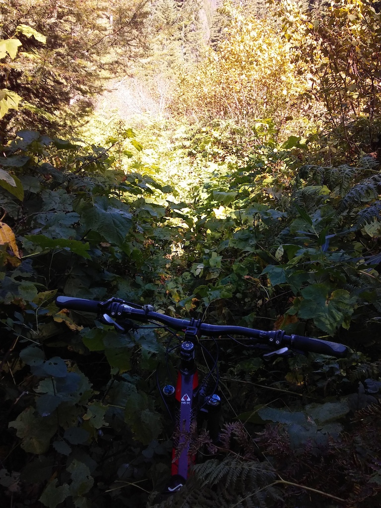Example of a section of trail that is a bit tricky to ride due to the brush situation (Sept 2016)