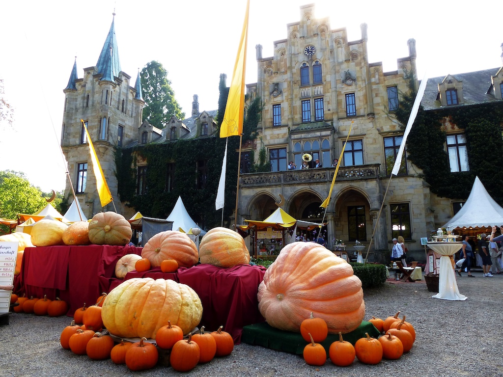 Giant pumpkin competition at Ippenburg Castle
