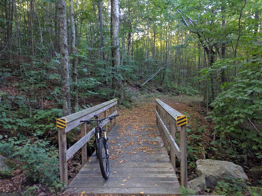 This is the bridge on the trail.  As you can see it has been a pretty dry summer not much water in the brook.  

The leaves are also starting to slowly fall.