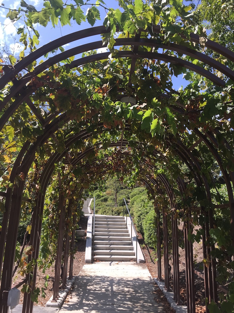 Archway on Reston Way Stairs