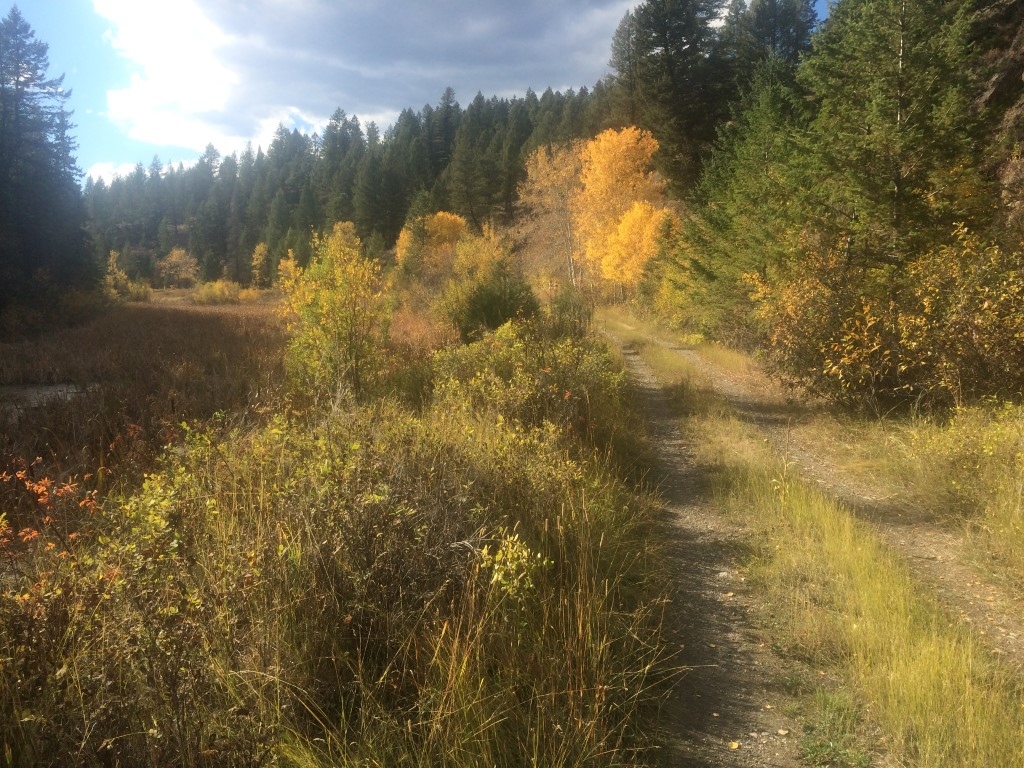 Fall scene near the 6km marker