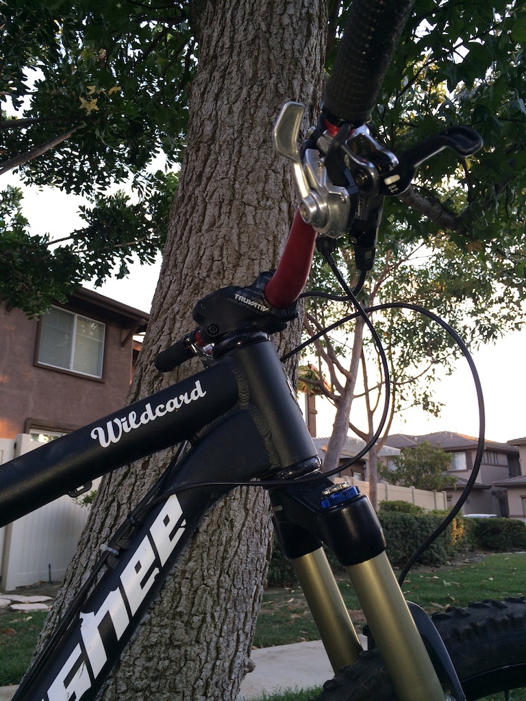 2011 Banshee Wildcard (Small), High-End Build