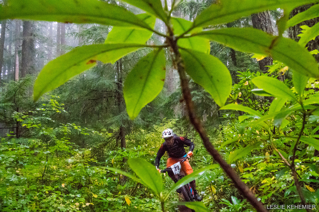 Rodadendrons were in full force giving the already lush forest an extra layer of greenery.