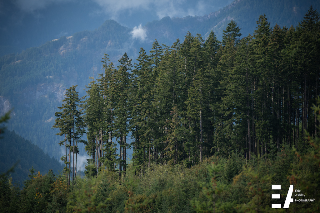 Images from the Cascadia MTB Championships 2016