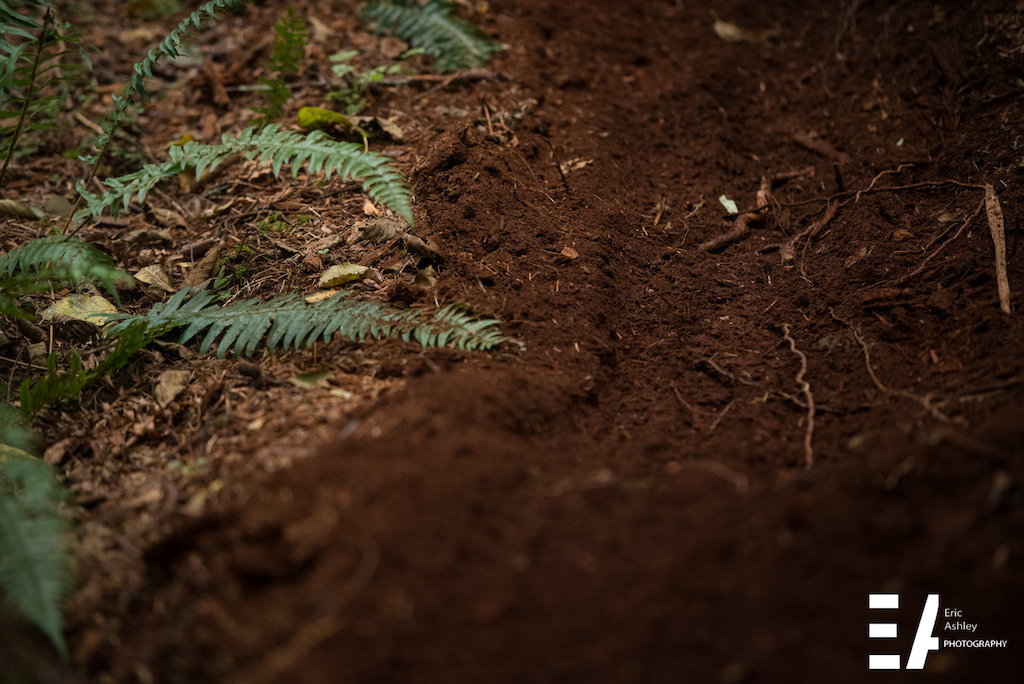 Images from the Cascadia MTB Championships 2016