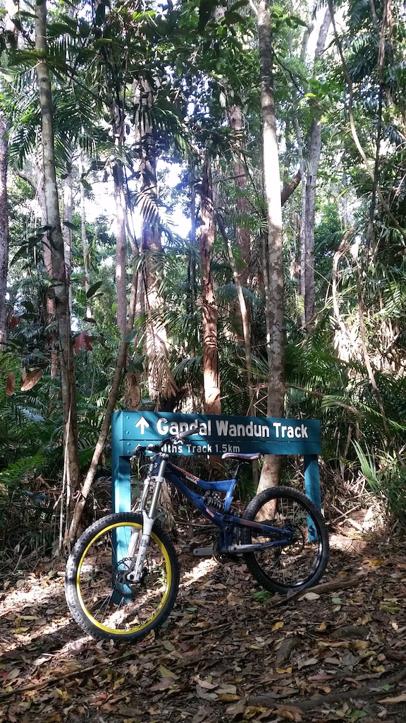 Rainforest singletrack ride