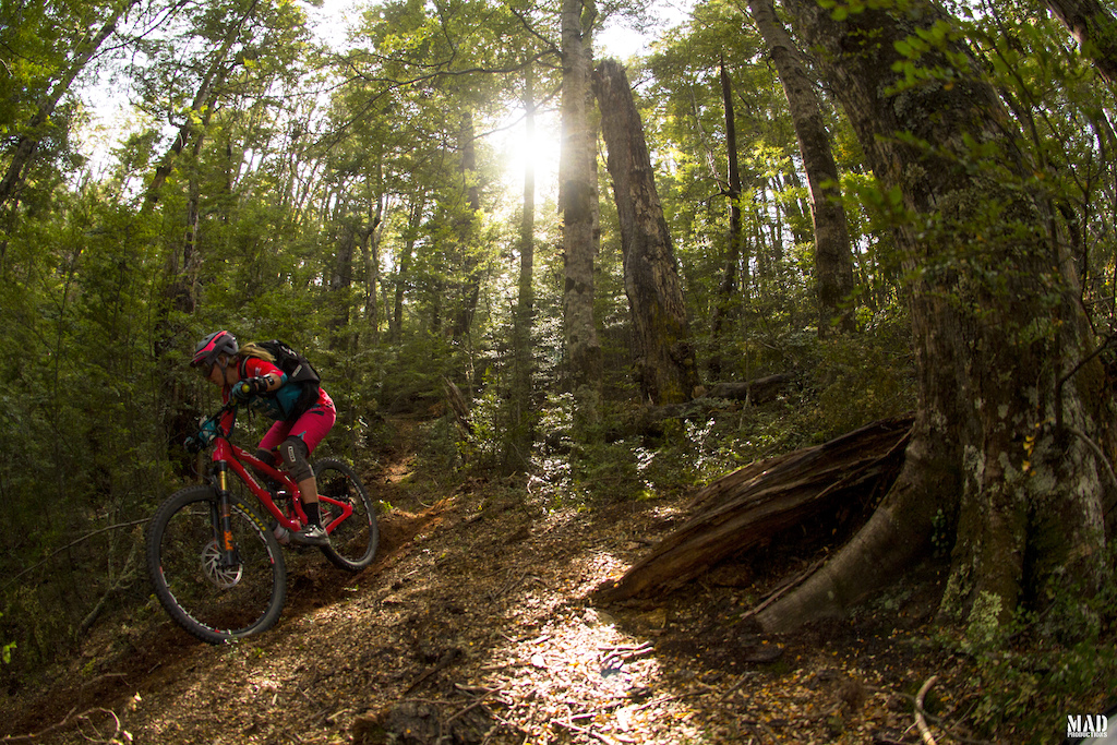 Such a unique diversity of trails in Trans NZ Enduro 2016. Sarah Rawley, #yetibeti, riding stage one day five.