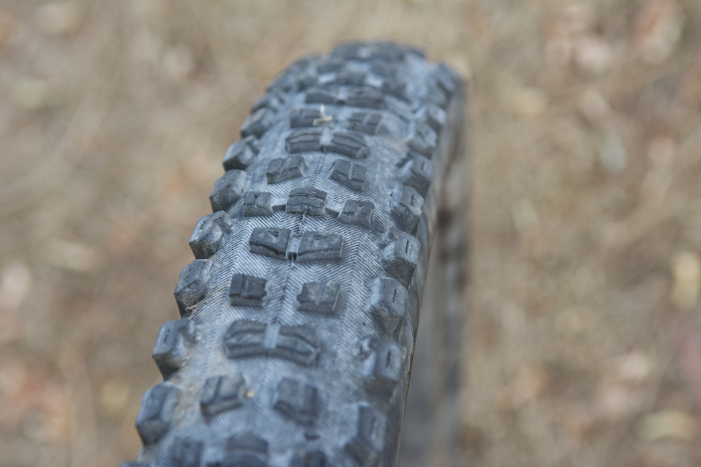 Maxxis Aggressor review