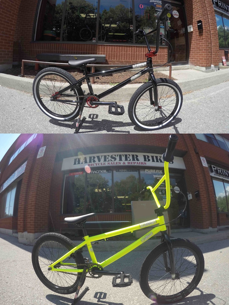 2016 BRAND NEW Academy Entrant BMX @ Harvester Bikes