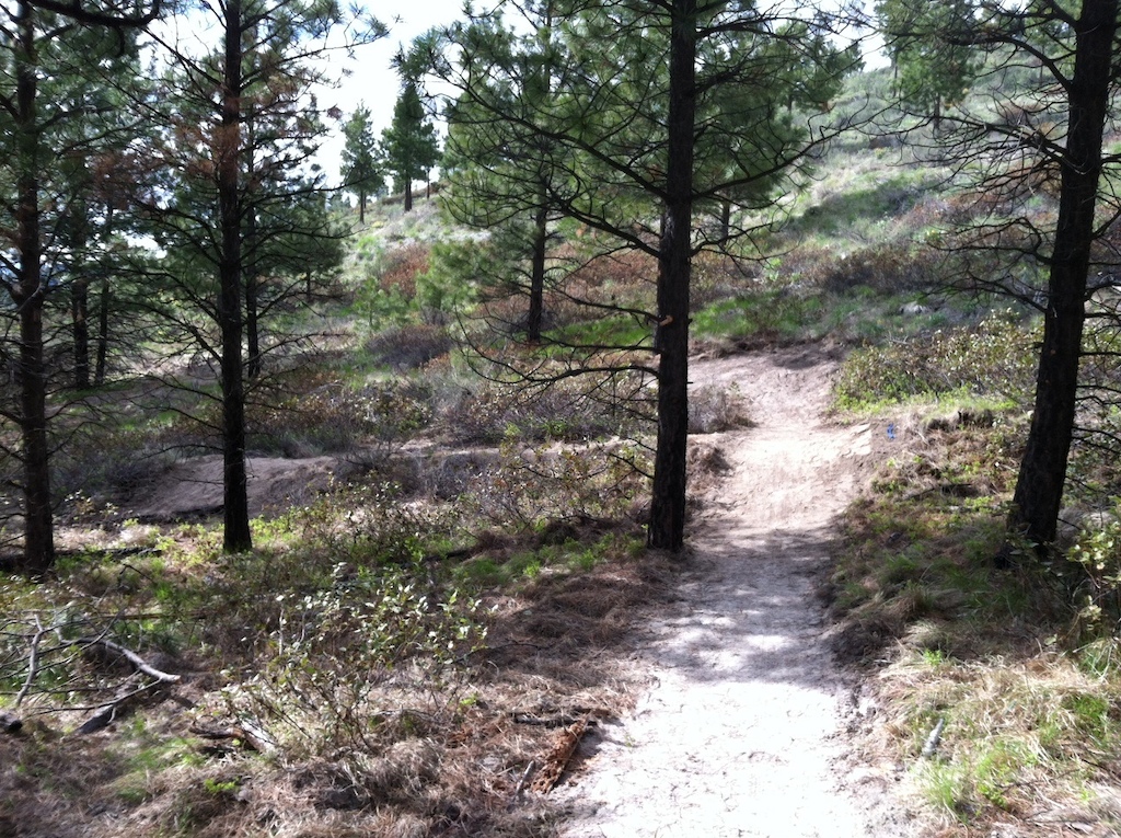 Trail after construction in 2014.