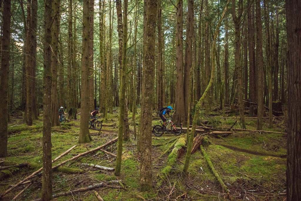Images for Mountain Bike BC's Trip of a Life Time article 2016