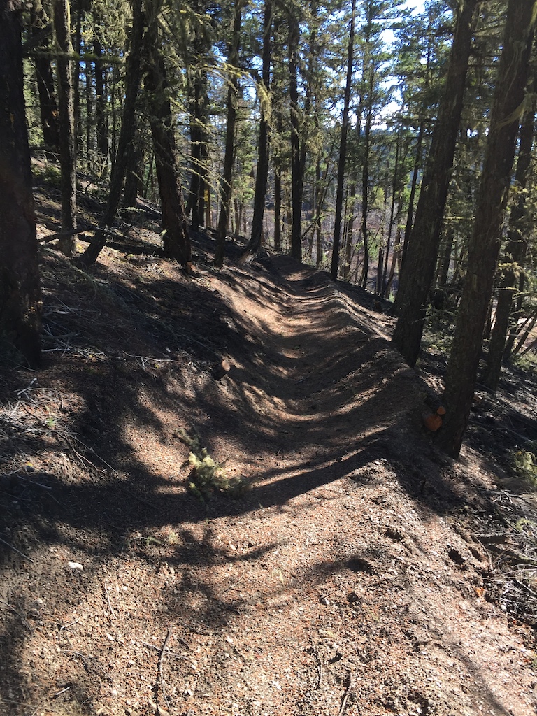 Single track section
