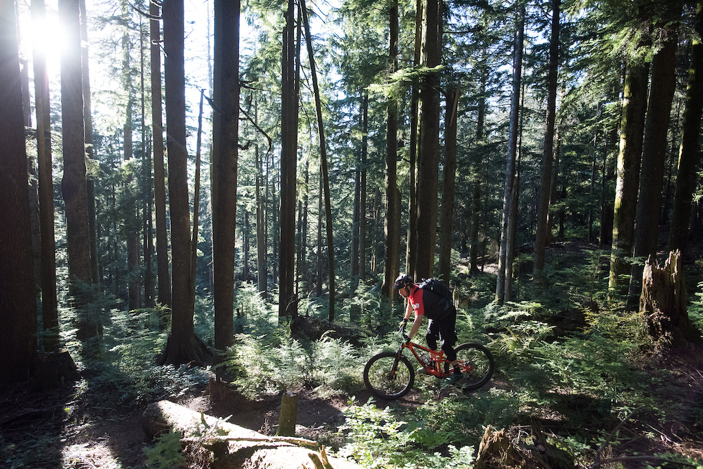September 13th, Fraser Valley, BC - Out with Mountain Biking BC showing them the goods on Vedder and Sumas mountains. Image by Margus Riga.