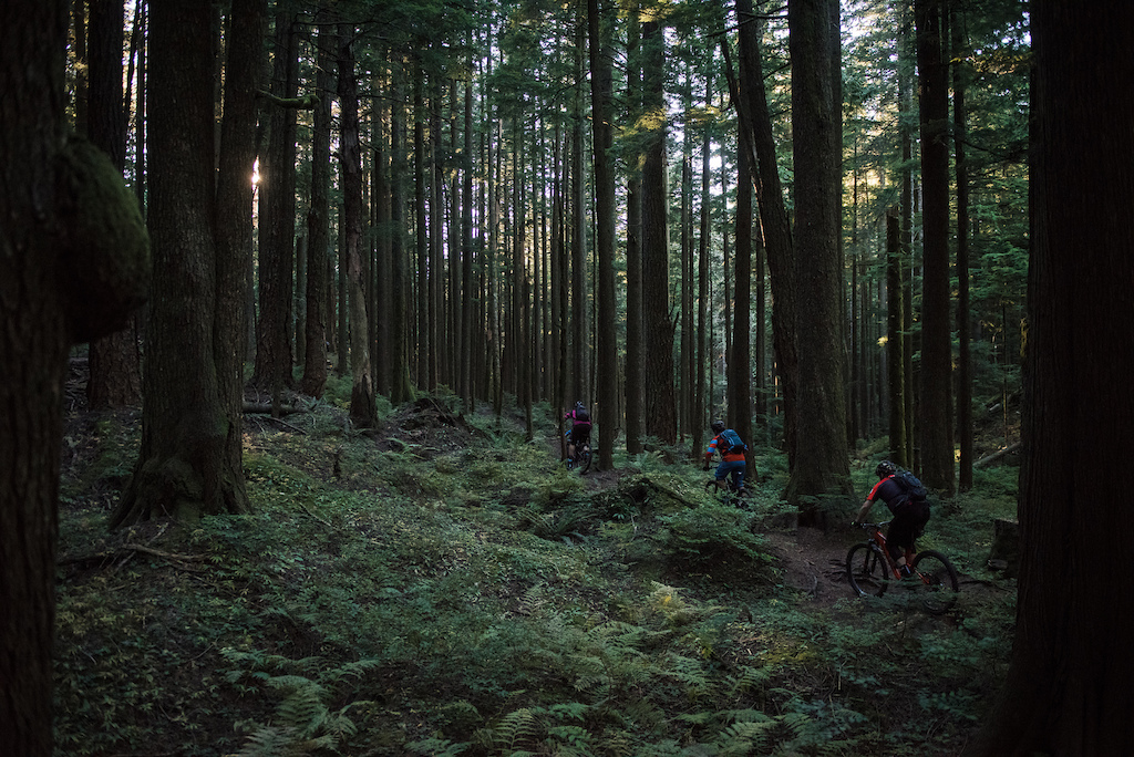 September 13th, Fraser Valley, BC - Out with Mountain Biking BC showing them the goods on Vedder and Sumas mountains. Image by Margus Riga.