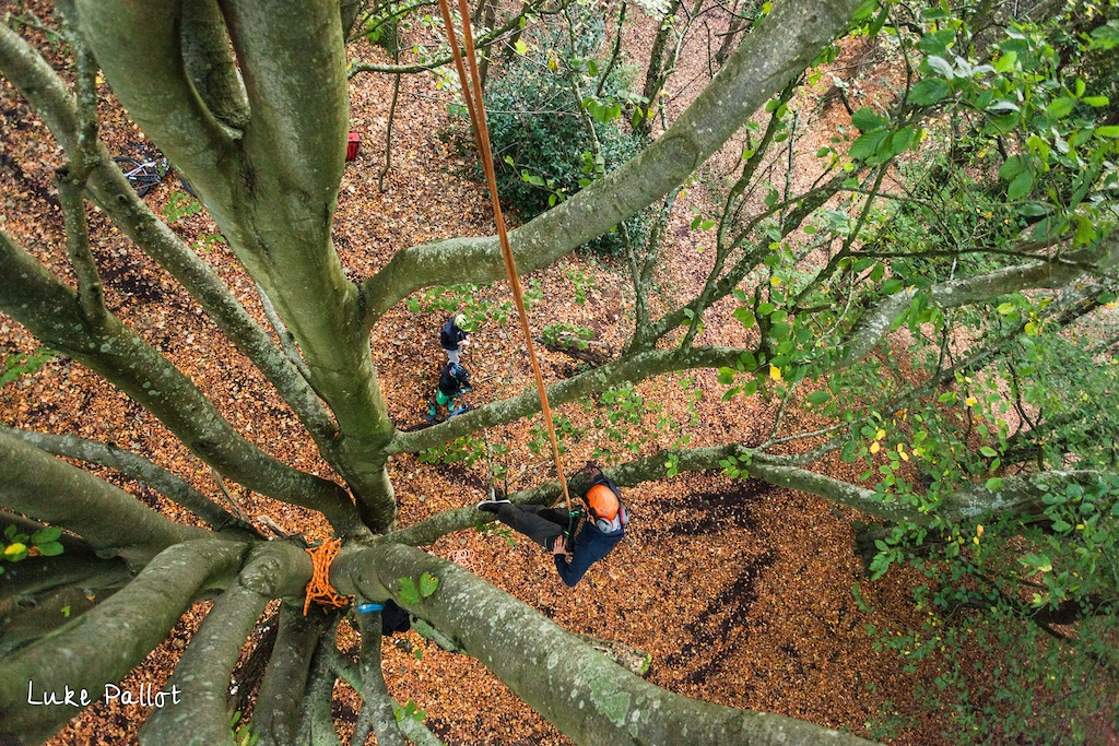 Thanks to my tree man Thomas Pallot for getting me up and down saftely