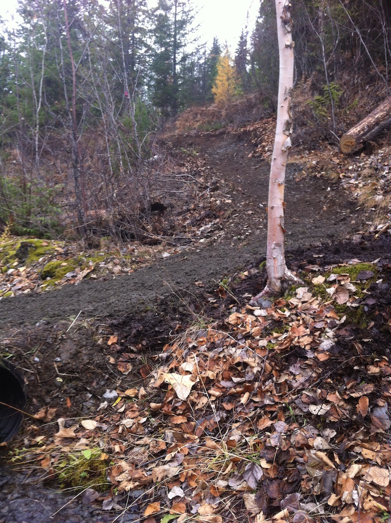 More work done on the up track at Box Lake