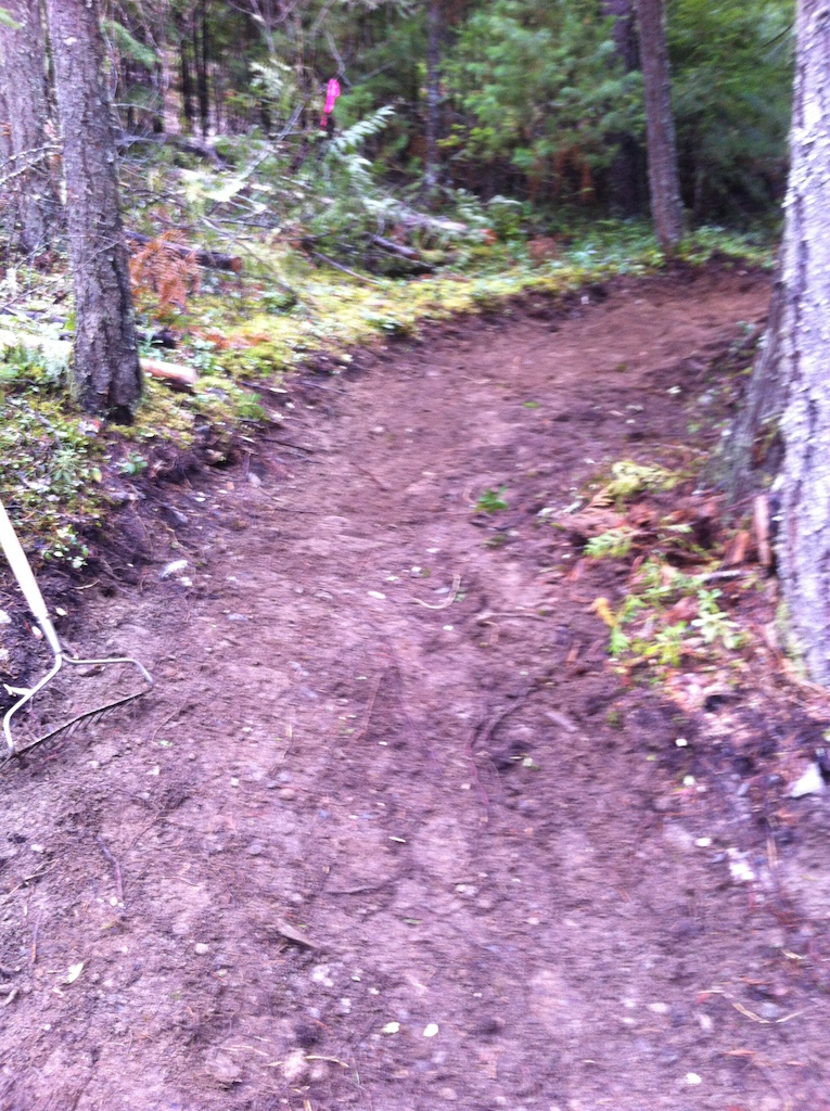 Finishing up some sections of the climbing trail at Box Lake near Nakusp