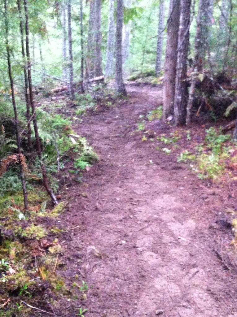 Finishing up some sections of the climbing trail at Box Lake near Nakusp