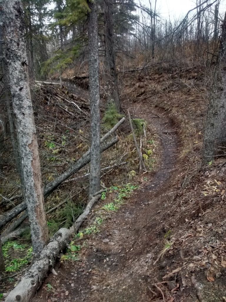 This is an up and down section of the trail. Really muddy, but great practice!
