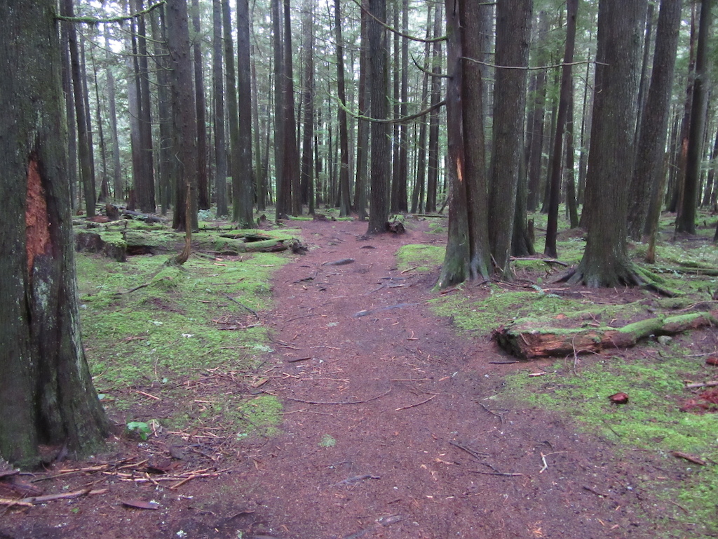 Example of the trail; width and terrain.