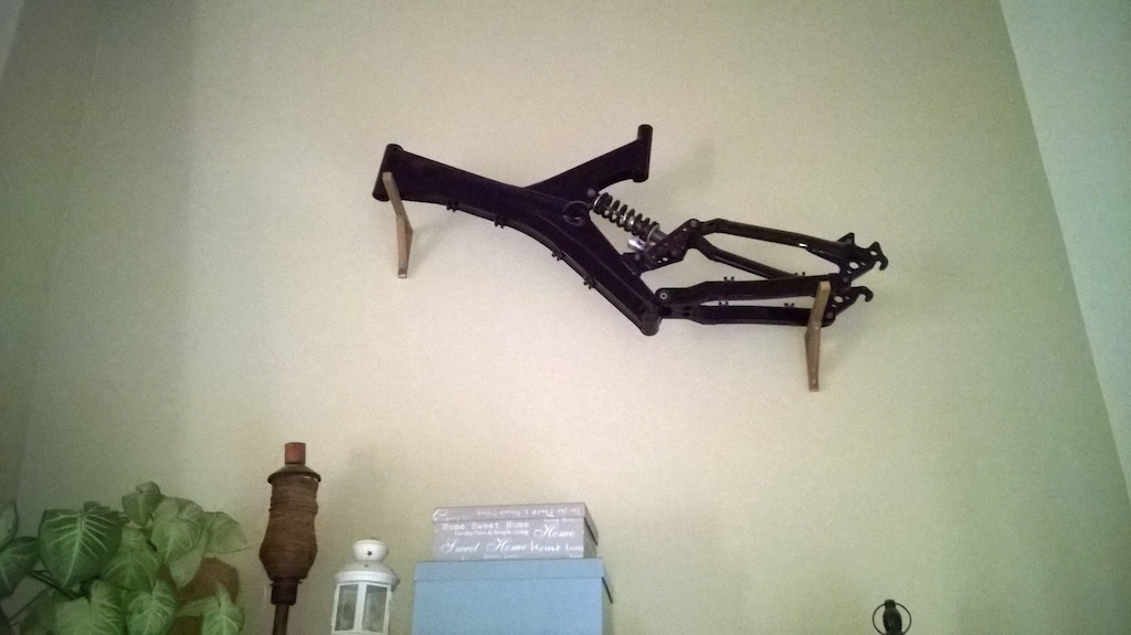 My Specialized FSR frame. Center piece in living room