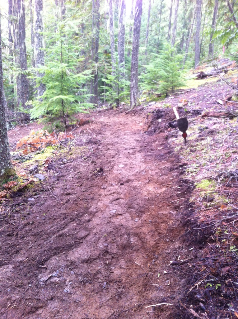More trail work getting completed on the climbing trail at Box Lake