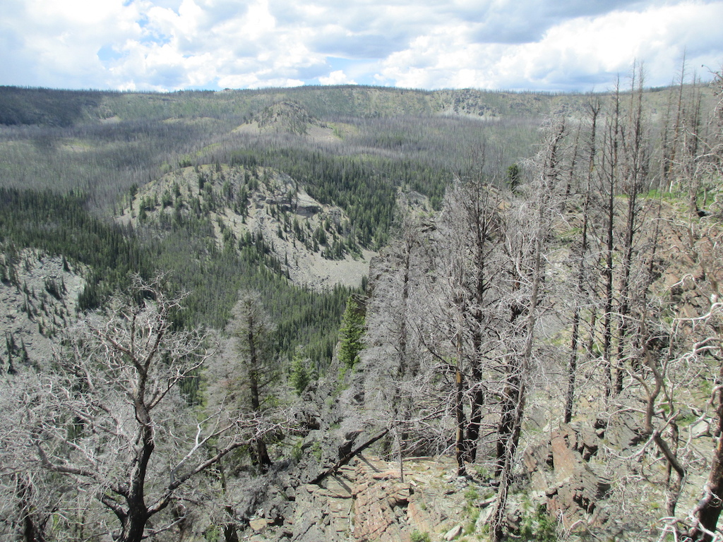 Looking down into the West Fork of Iron Creek drainage.  The trail is in the bottom.