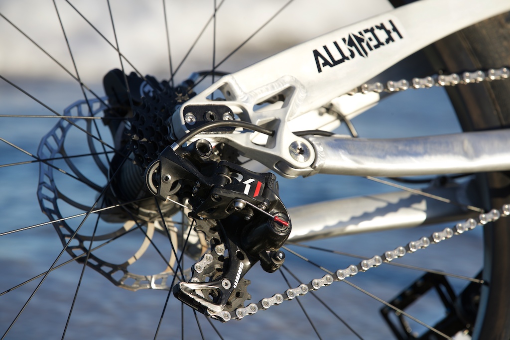 Alutech 29er DH bike