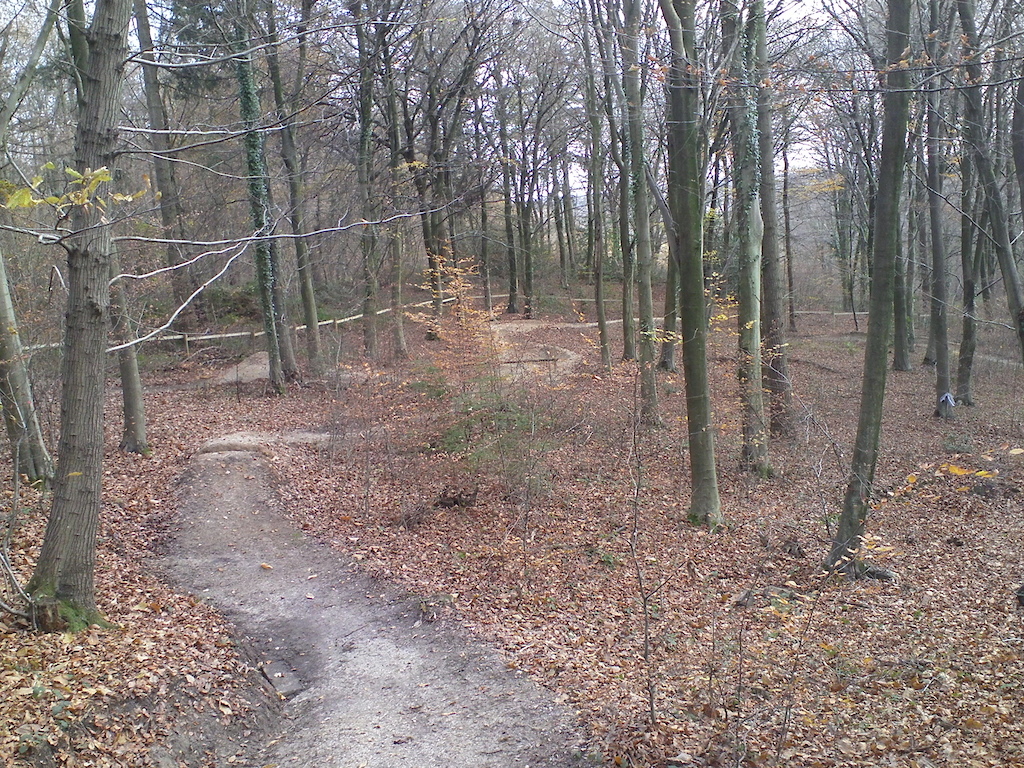 Some work on the dual trail, the push up route and the leaf free trails.