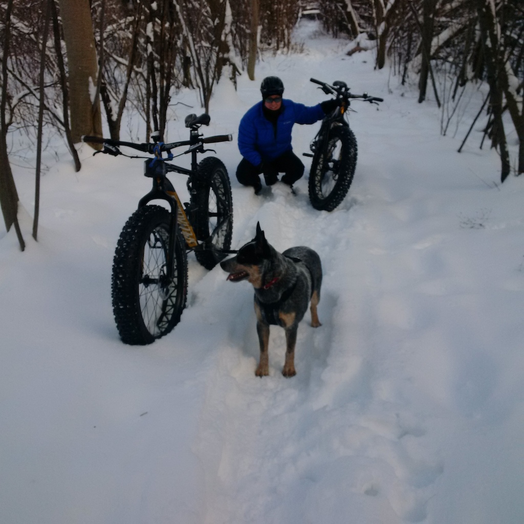 This was Levi's first "off leash" trail ride.  He did really well.  We passed several people skiing with/out dogs and Levi stuck to my back wheel.  More interested in running with the bikes.  It was - 7C and Levi was perfectly fine for the 1 hour run time.  We did a lot of practice riding over the summer at a school with a fenced yard.  He graduated to a harness and "tug and tow" hook up to my bike - much like a sled dog.  That was fun - who needs an electric bike.  And now we will slowly work with him off leash on some of the more remote trails in my area.