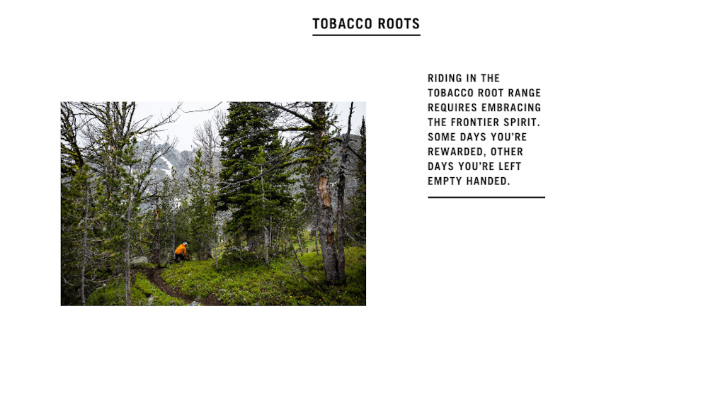 Images for Tobacco Roots story.