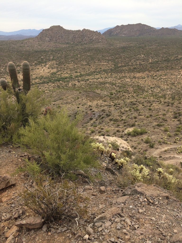 Top of Brown's Mountain - Looking North East to Cholla Mt. (foreground) and Granite Mountain (back ground).