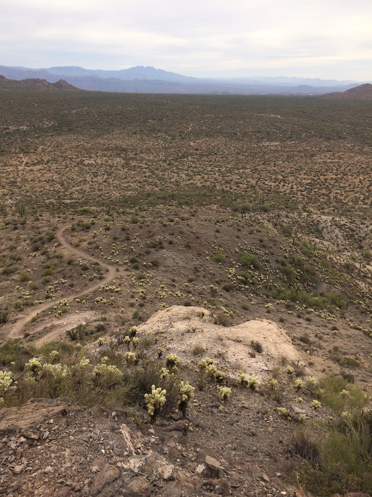 Top of Brown's Mountain - Looking due east towards Rio Verde and Four Peaks in distance.