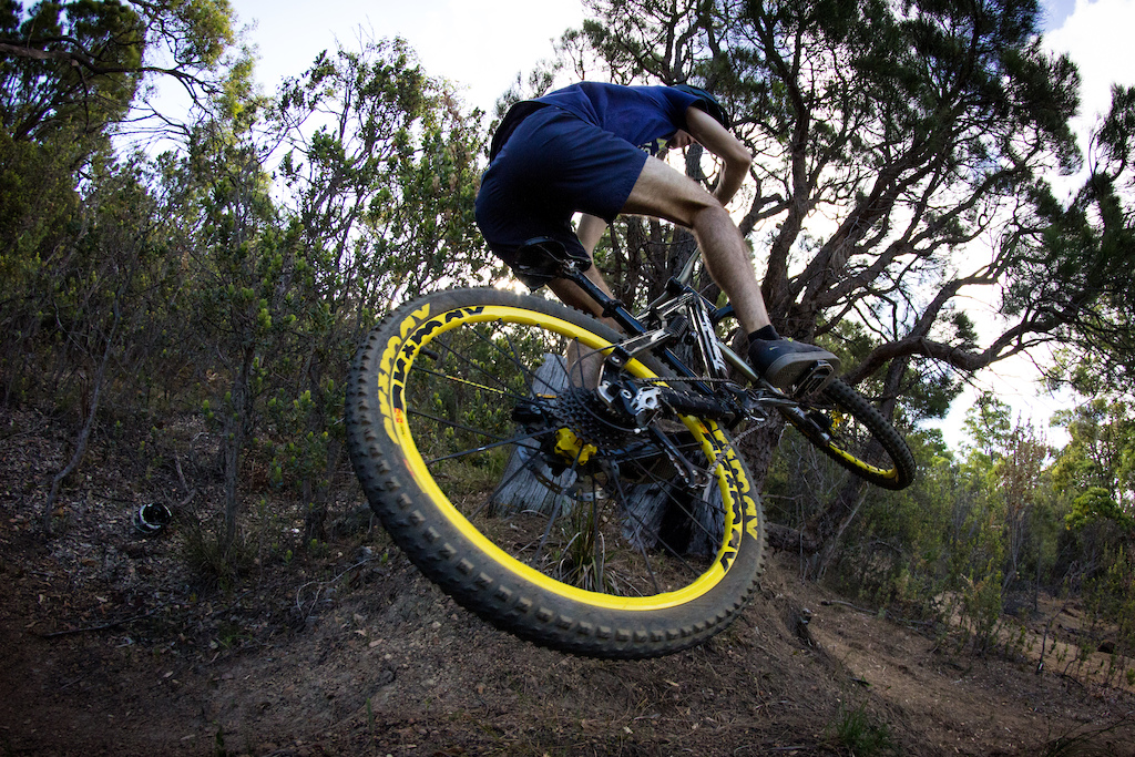 Brapp