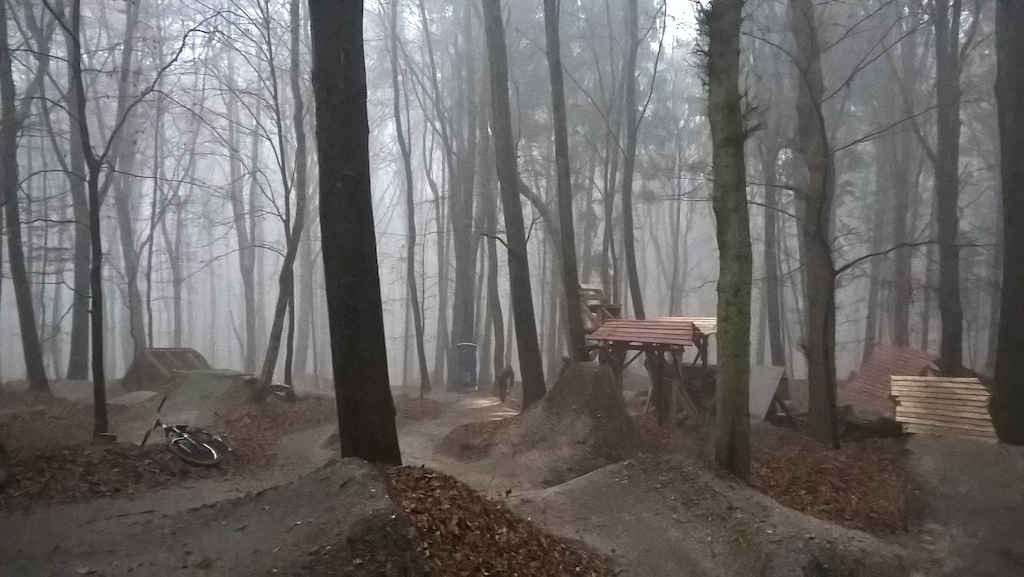 Fog in the forest since one week :(