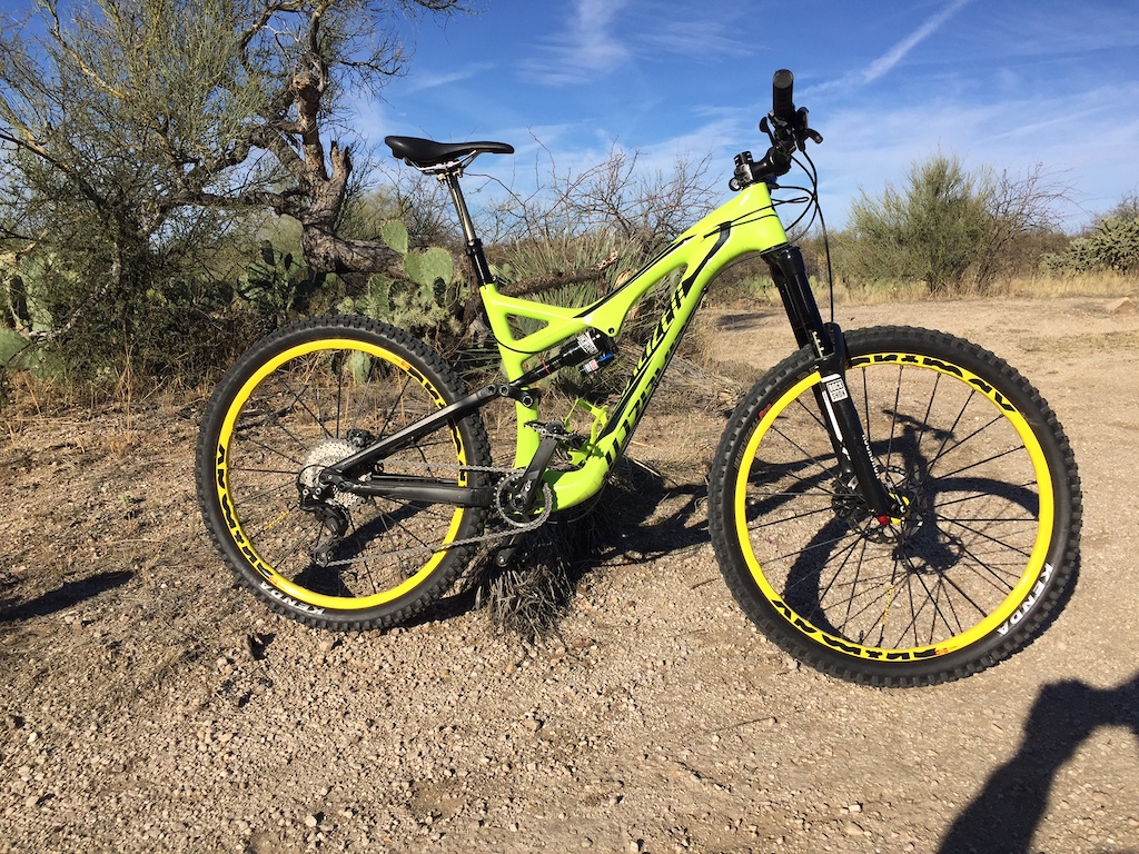 New bike up on the 50 Year Trail.