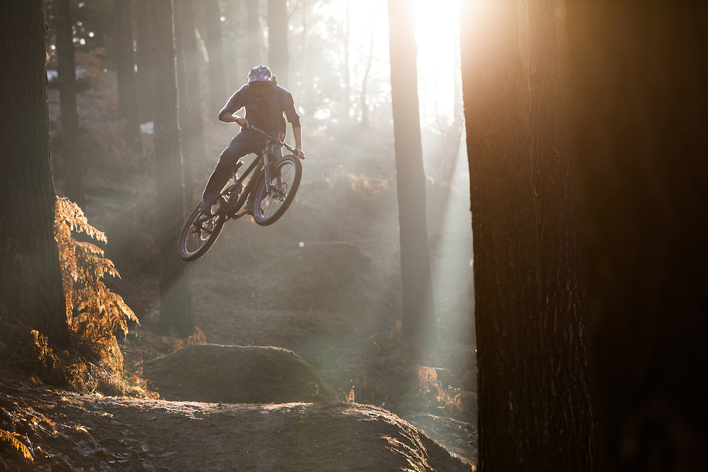 Low winter light