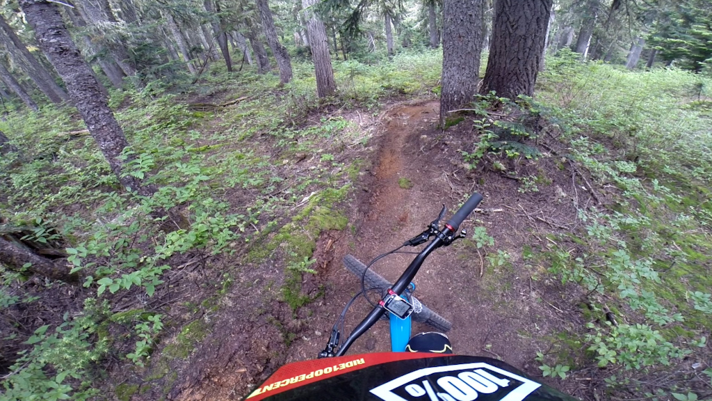 I don't feel the need to ride trails like this.... #notreally #imegamissthis #brownpaw #transitionbikes #pinewoodfacefender #north_shore_bike_shop