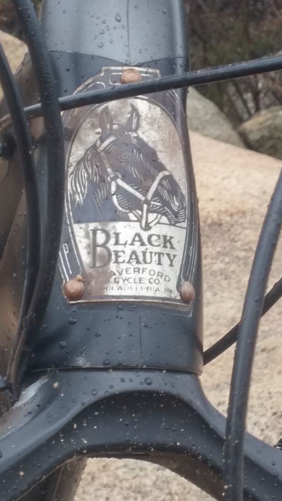 Had to top off a unique build with a unique head badge... This is an original from a 1917-ish American bike that was made in Philadelphia.
